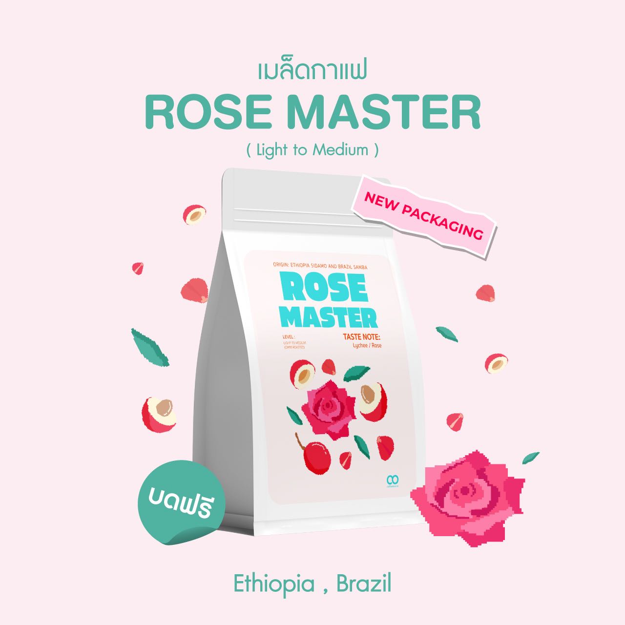 เมล็ดกาแฟ Rose Master Coffee beans
