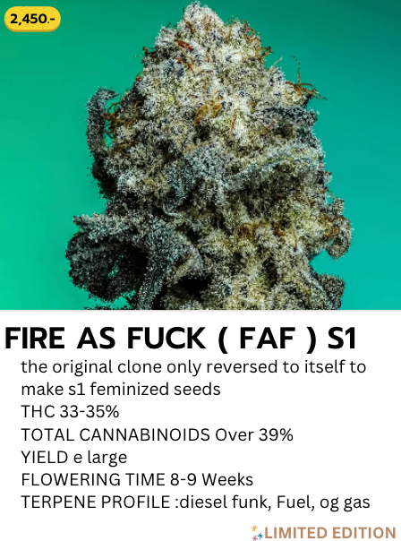 Fire As Fuck(FAF) S1