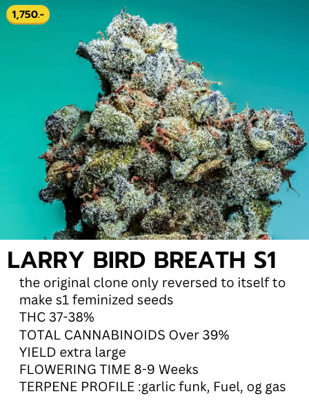 Larry Bird Breath S1