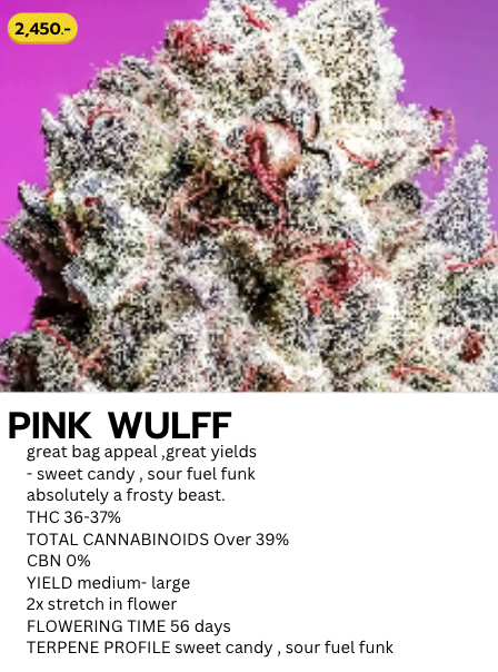 Pink Wulff