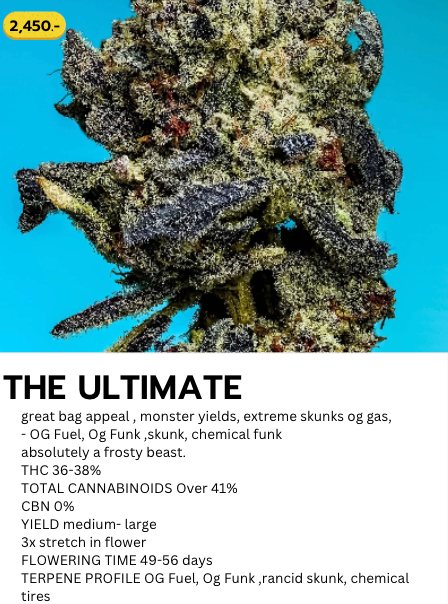 The Ultimate