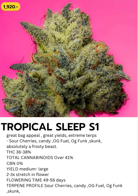 Tropical Sleep S1