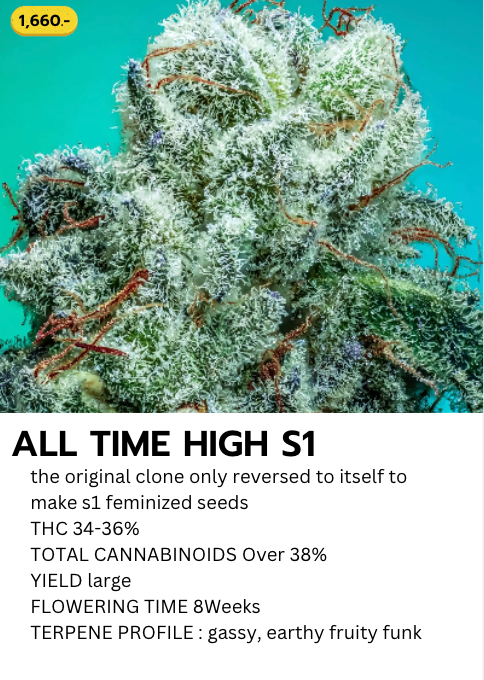 All Time High S1