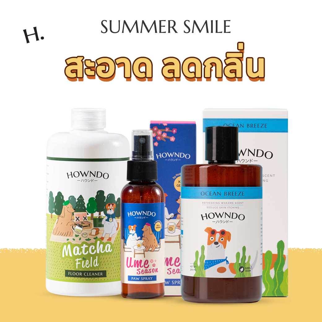 SUMMER SMILE SET | น้ำยาถูพื้น 400 ml + สเปรย์ทำความสะอาด + แชมพูวากาเมะ 300 ml