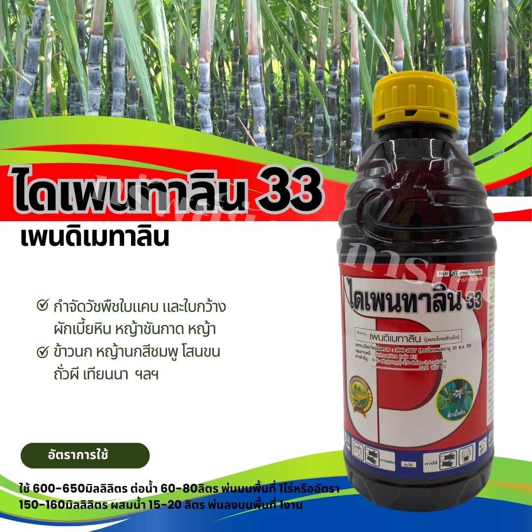 ไดเพนทาลิน33 เพนดิเมทาลิน 1ลิตร กำจัดวัชพืชในนาข้าว ชนิดดูดซึม กำจัดวัชพืชประเภทใบแคบ และใบกว้าง