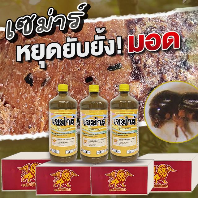 เซม่าร์ สิงห์มังกร x20 ขวด(ยกลัง)