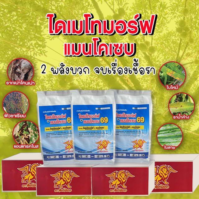 ไดเมโทมอร์ฟ แมนโคเซบ69 สิงห์มังกร x20 โล(ยกลัง)