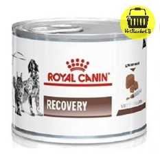 Royal Canin Recovery อาหารสำหรับ สัตว์ป่วย พักฟื้น