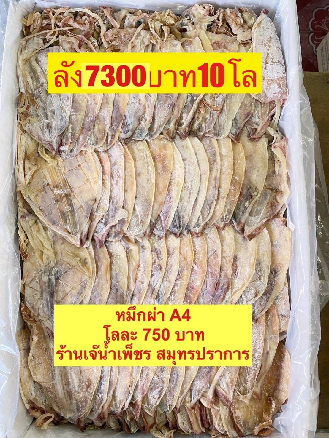 A4   5กิโล โลละ   680
