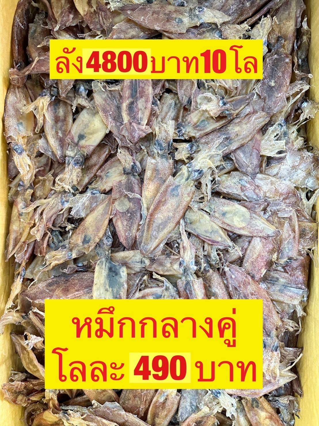 หมึกกลางคู่   5kg. โลละ 450