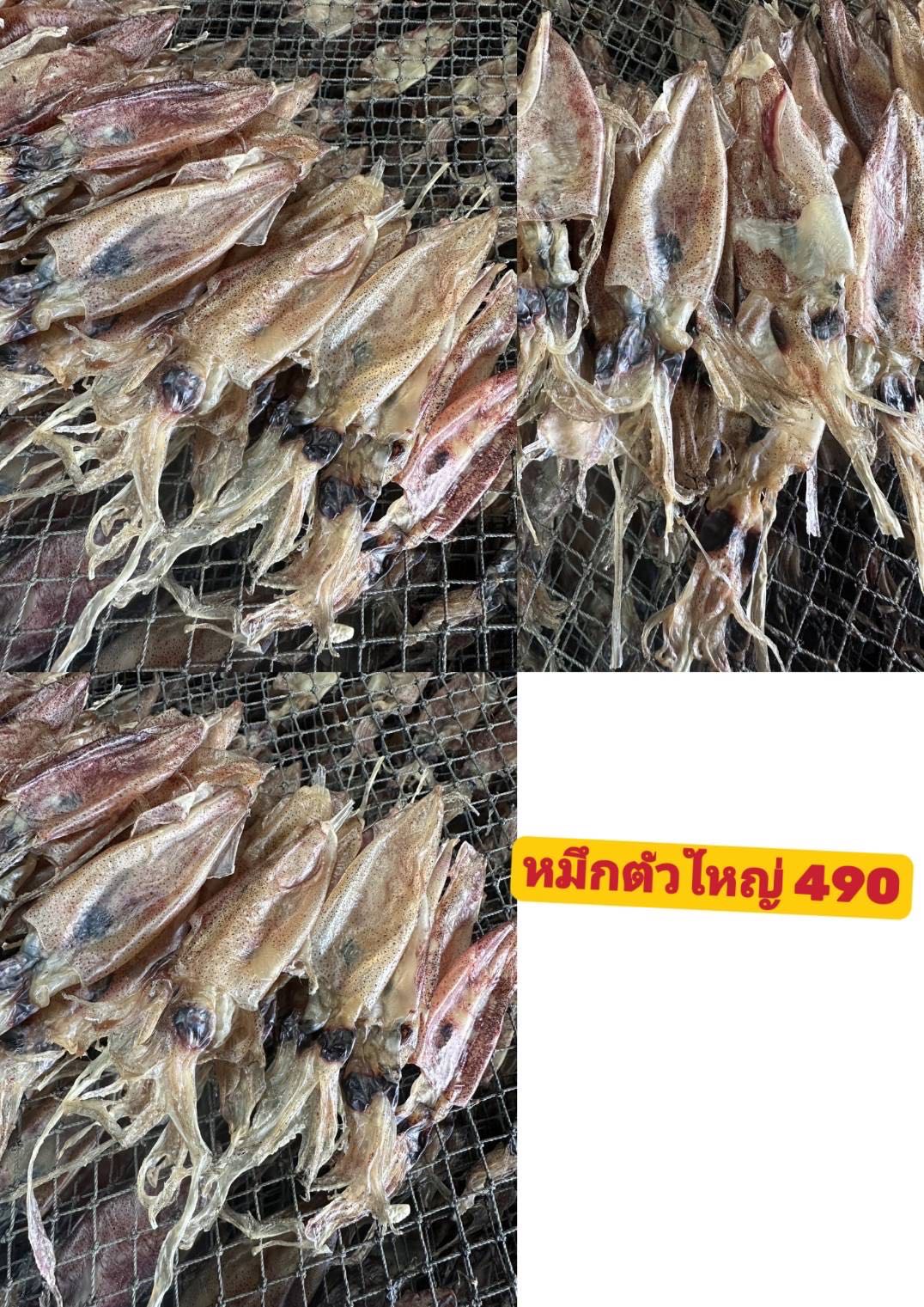 หมึกตัวใหญ่ 5 kg โลละ 450