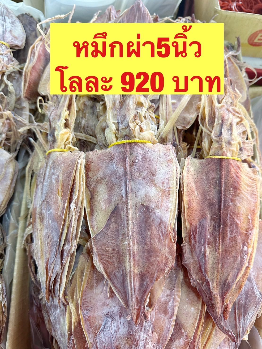 5 นิ้ว 5kg โลละ 900