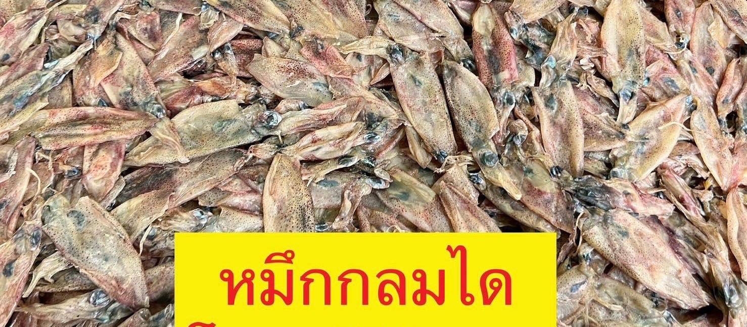 หมึกกลมได 5 kg โลละ  450