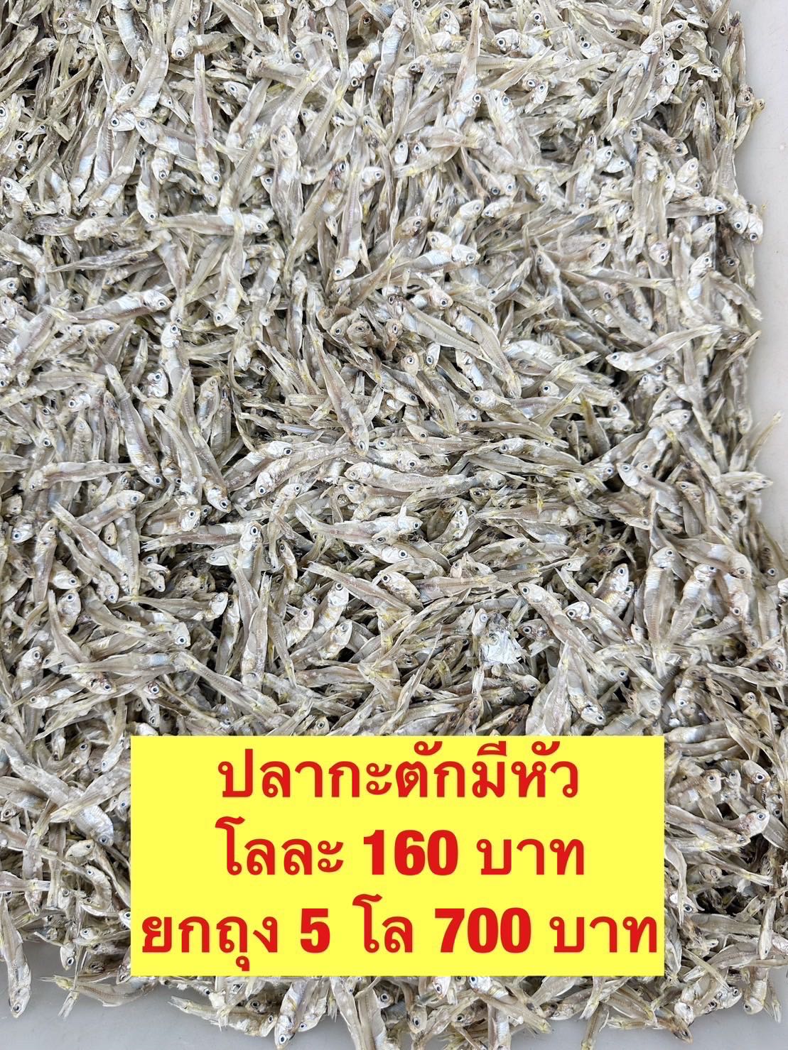 ปลากะตักมีหัว 5kg โลละ 140