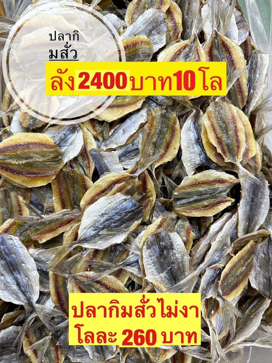 ปลากิมสั่วไม่งา 5kg โลละ 240