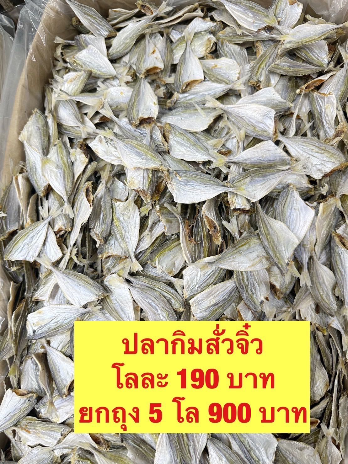 ปลากิมสั่จิ๋ว 5kg โลละ 180