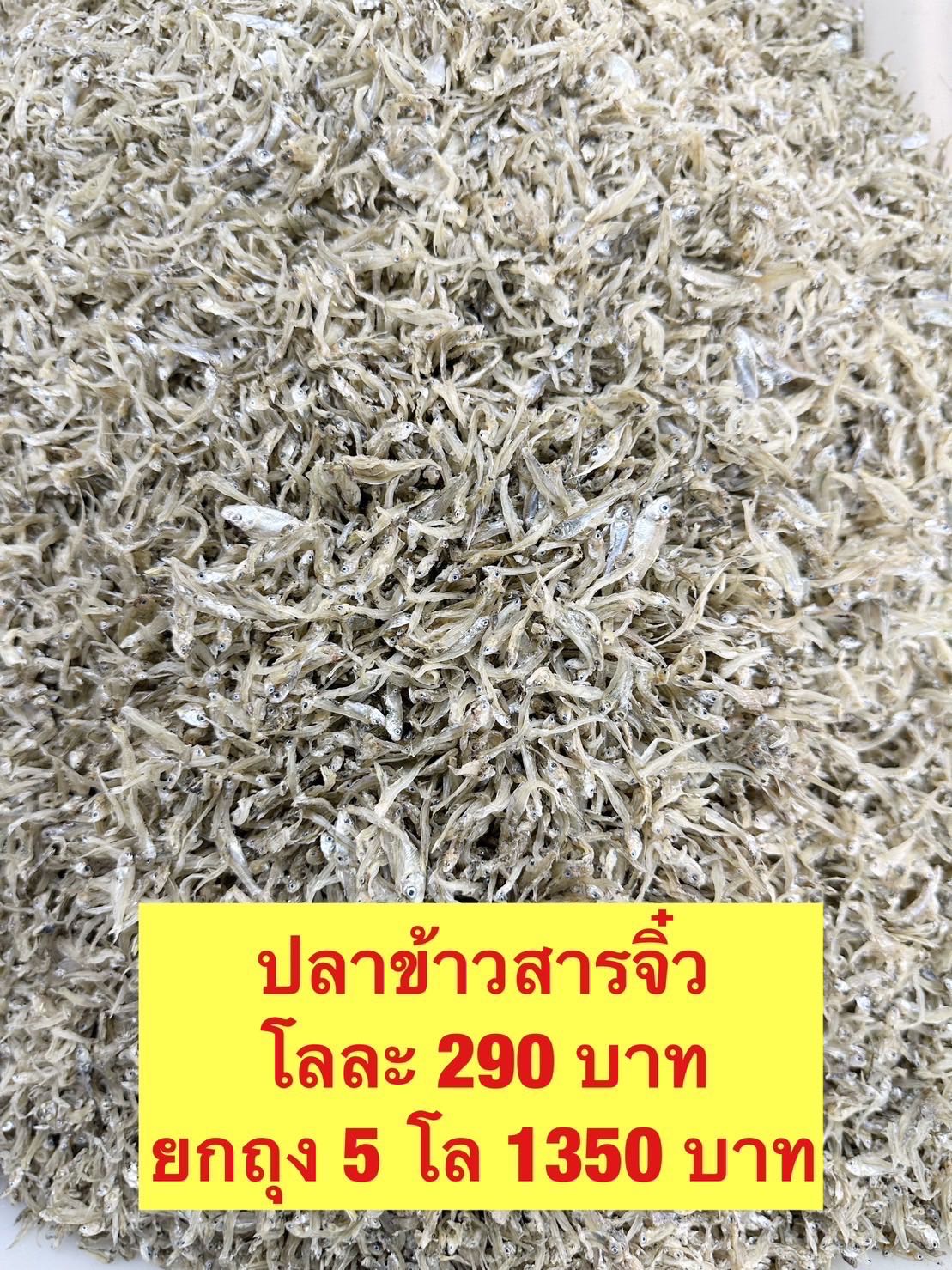 ปลาข้าวสารจิ๋ว 5kg โลละ 270