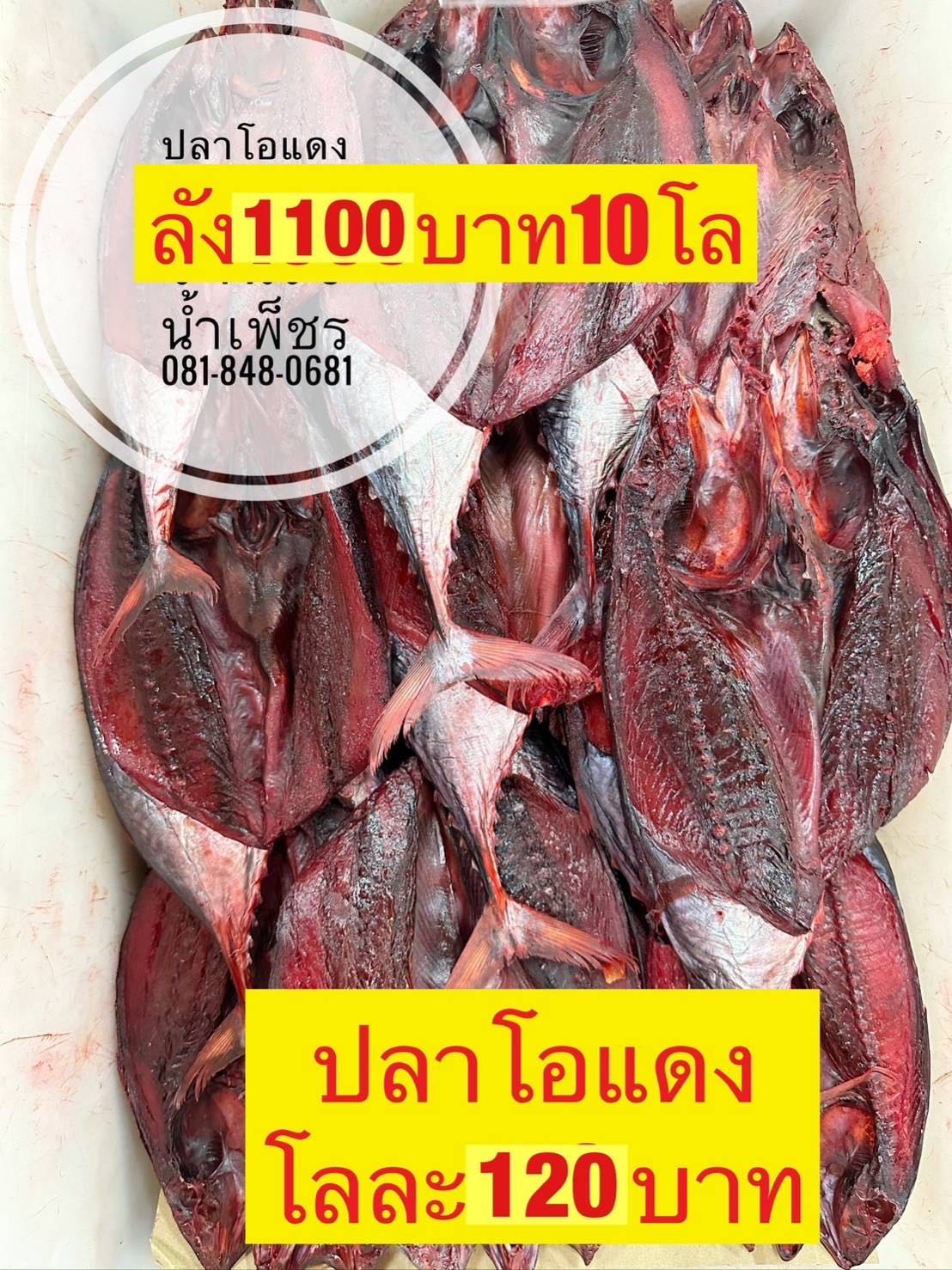 ปลาโอแดง 5 kg โลละ 110  