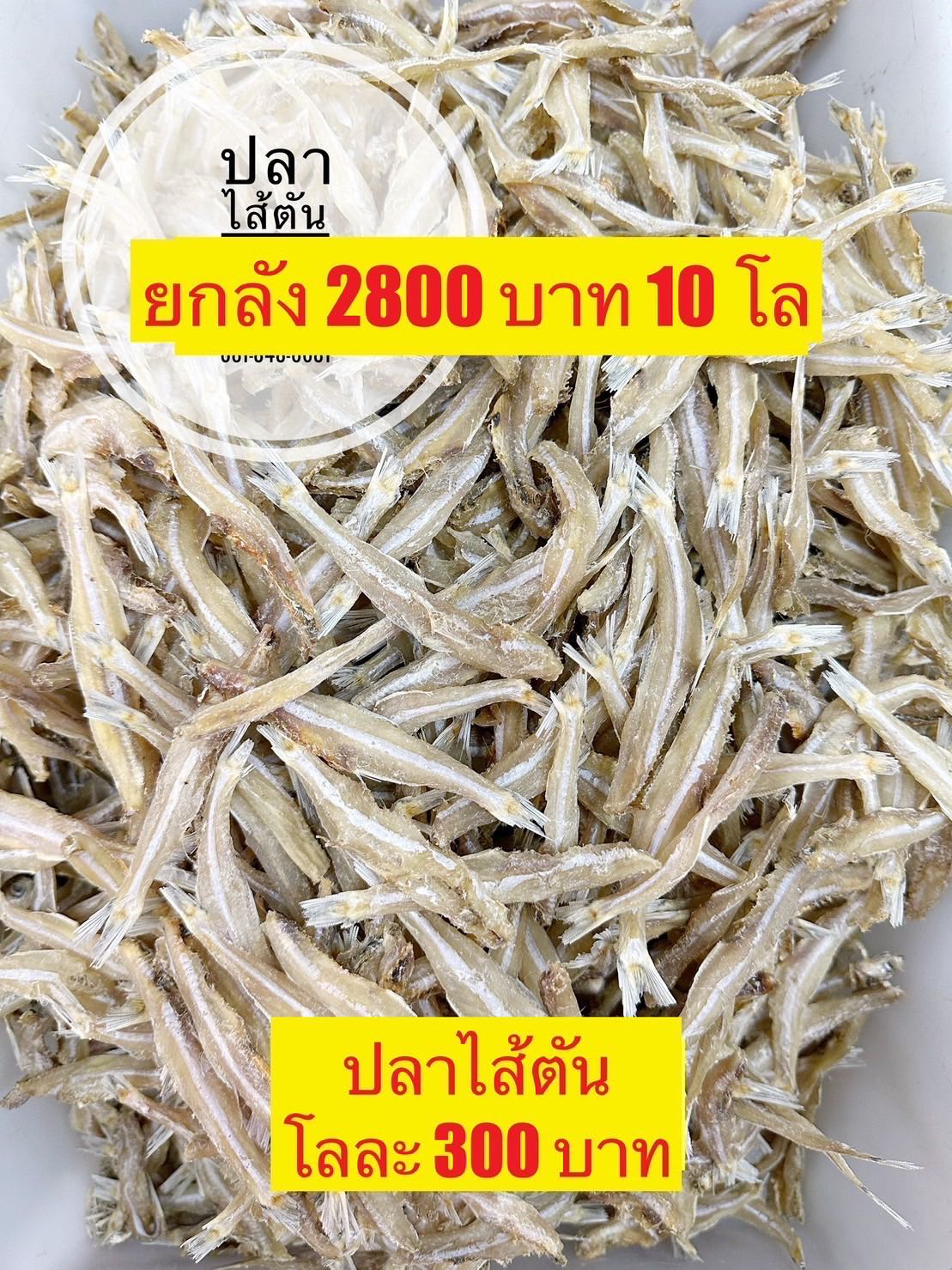 ปลาไส้ตัน 5kg โลละ  280