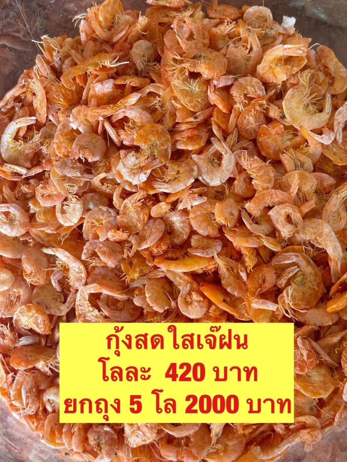 กุ้งเจ้ฝน 5kg. โลละ  400 