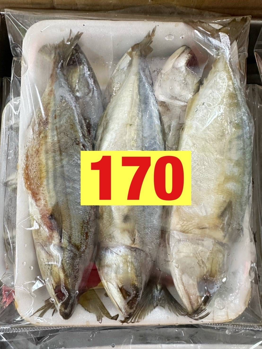 ปลาทูมัน 4/6 ยกลัง 10โล 