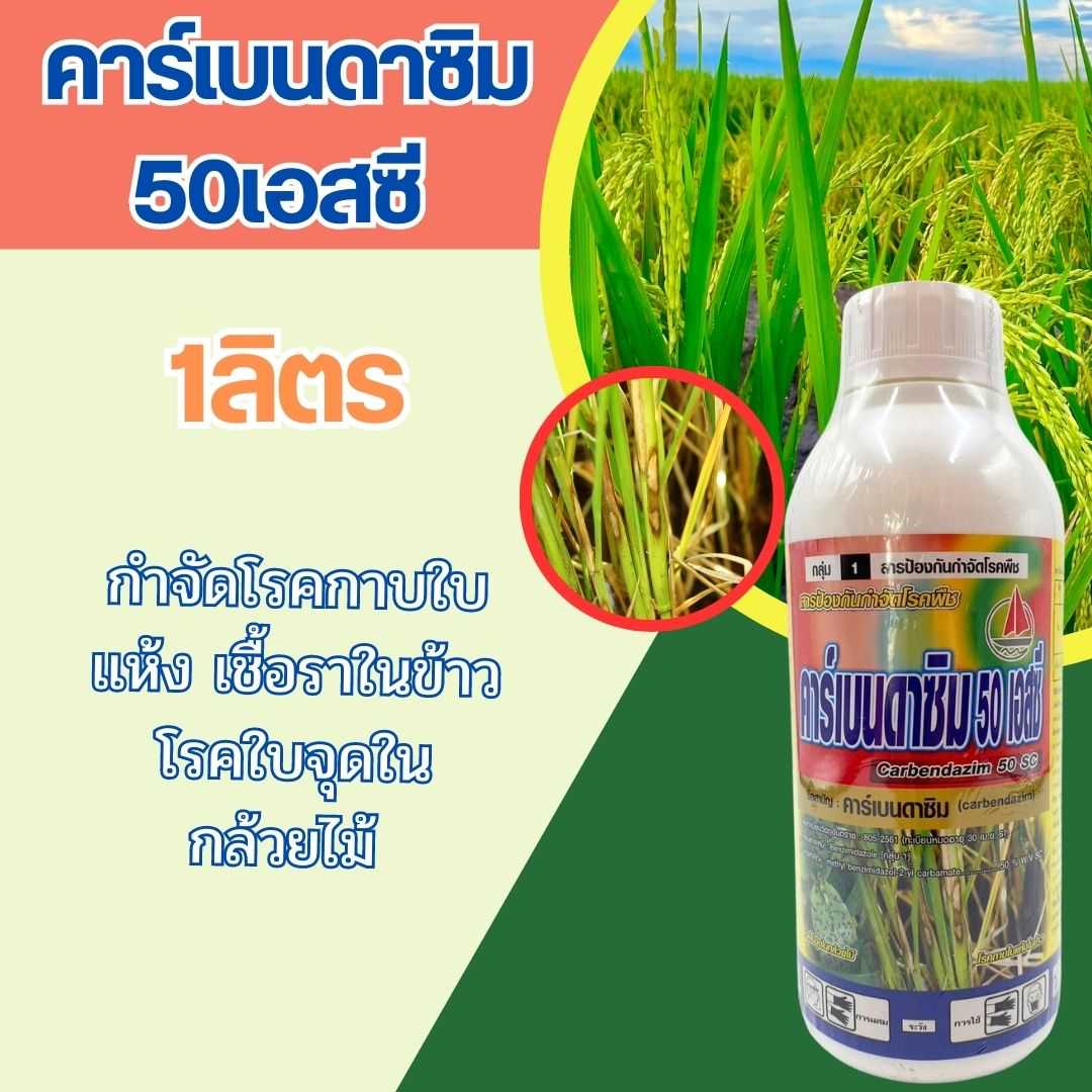 คาร์เบนดาซิม 50 เอสซี  1ลิตร ตราเรือใบ โรคกาบใบแห้ง โรคใบจุด สารป้องกันกำจัดโรคพืชจากเชื้อราในพืช