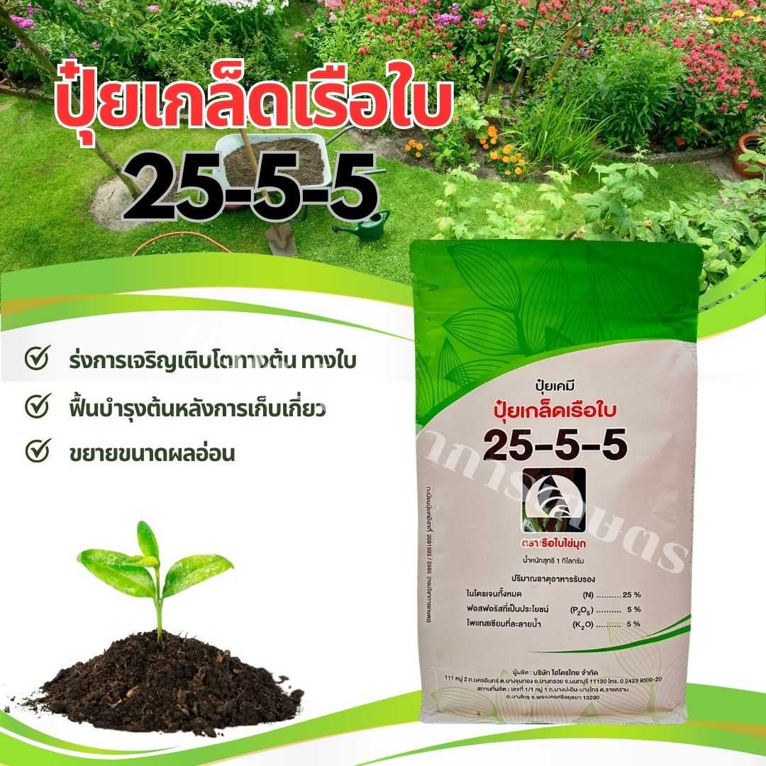 ปุ๋ยเกล็ด 25-5-5 ตราเรือใบไข่มุก 1กก. เร่งการเจริญเติบโตทางต้น ทางใบ ฟื้นบำรุงต้นหลังการเก็บเกี่ยว