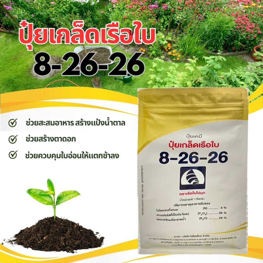 ปุ๋ยเกล็ดเรือใบ 8-26-26 1กิโลกรัม ช่วยสะสมอาหาร สร้างแป้งน้ำตาล ช่วยสร้างตาดอก ช่วยให้แตกช้าลง