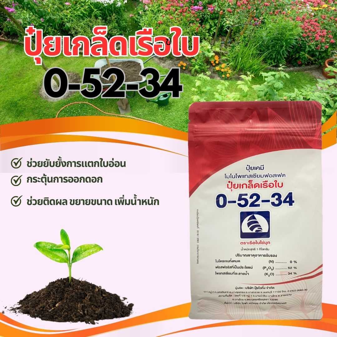 ปุ๋ยเกล็ดเรือใบ 0-52-34  1กิโลกรัม ช่วยยับยั้งการแตกใบอ่อน กระตุ้นการออกดอก ช่วยติดผล  ช่วยขยายขนาด