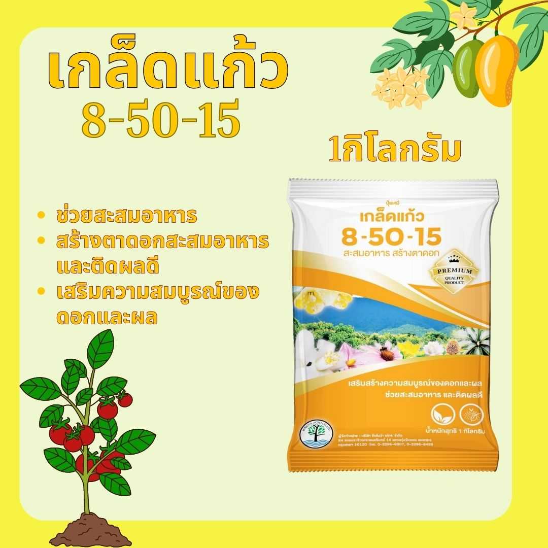 ปุ๋ยเกล็ด เกล็ดแก้ว 8-50-15 1กก.ช่วยสะสมอาหาร สร้างตาดอก เสริมความสมบูรณ์ดอกผล สะสมอาหาร ติดผลดี