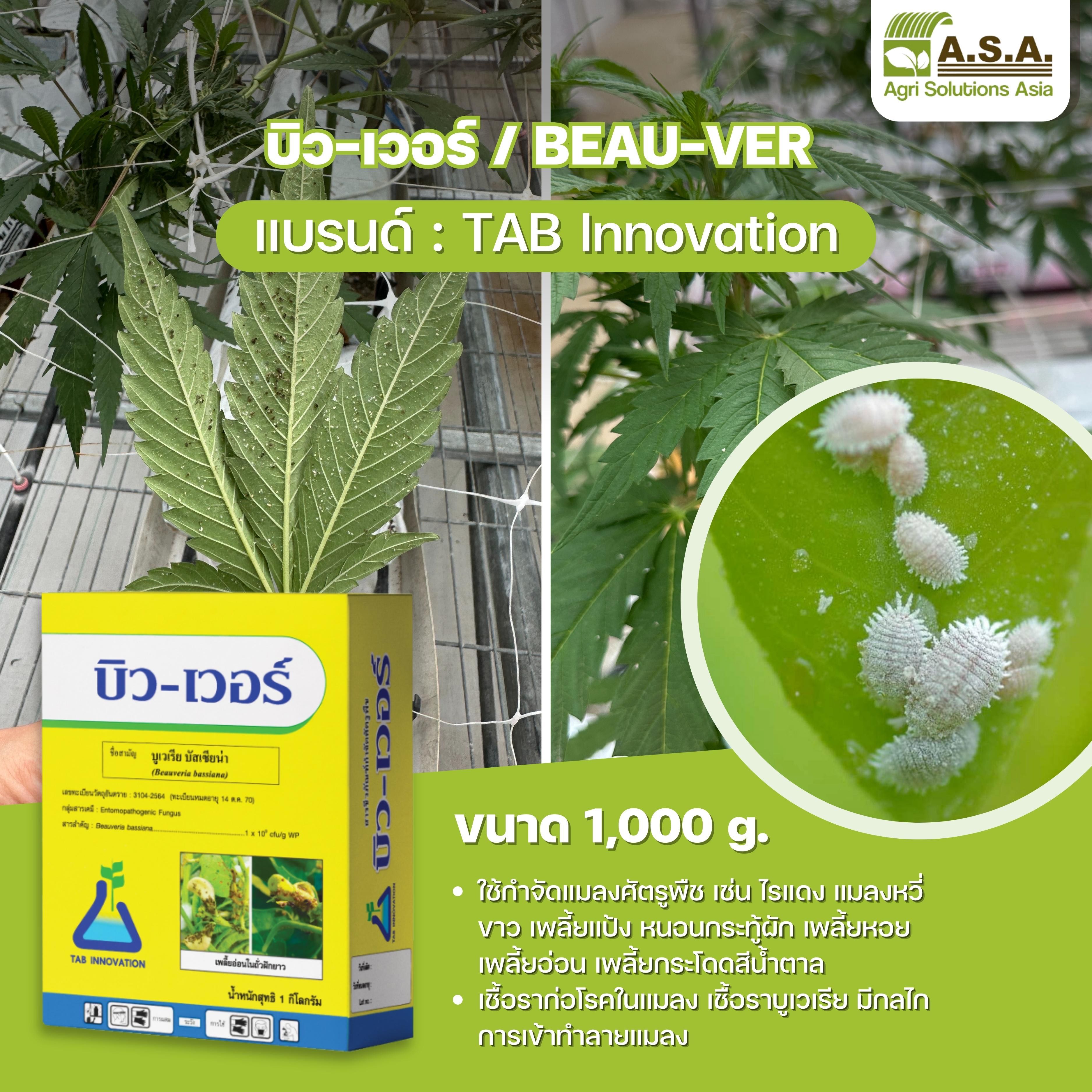 บิวเวอร์เรีย / BEAU-VER 1,000 g.