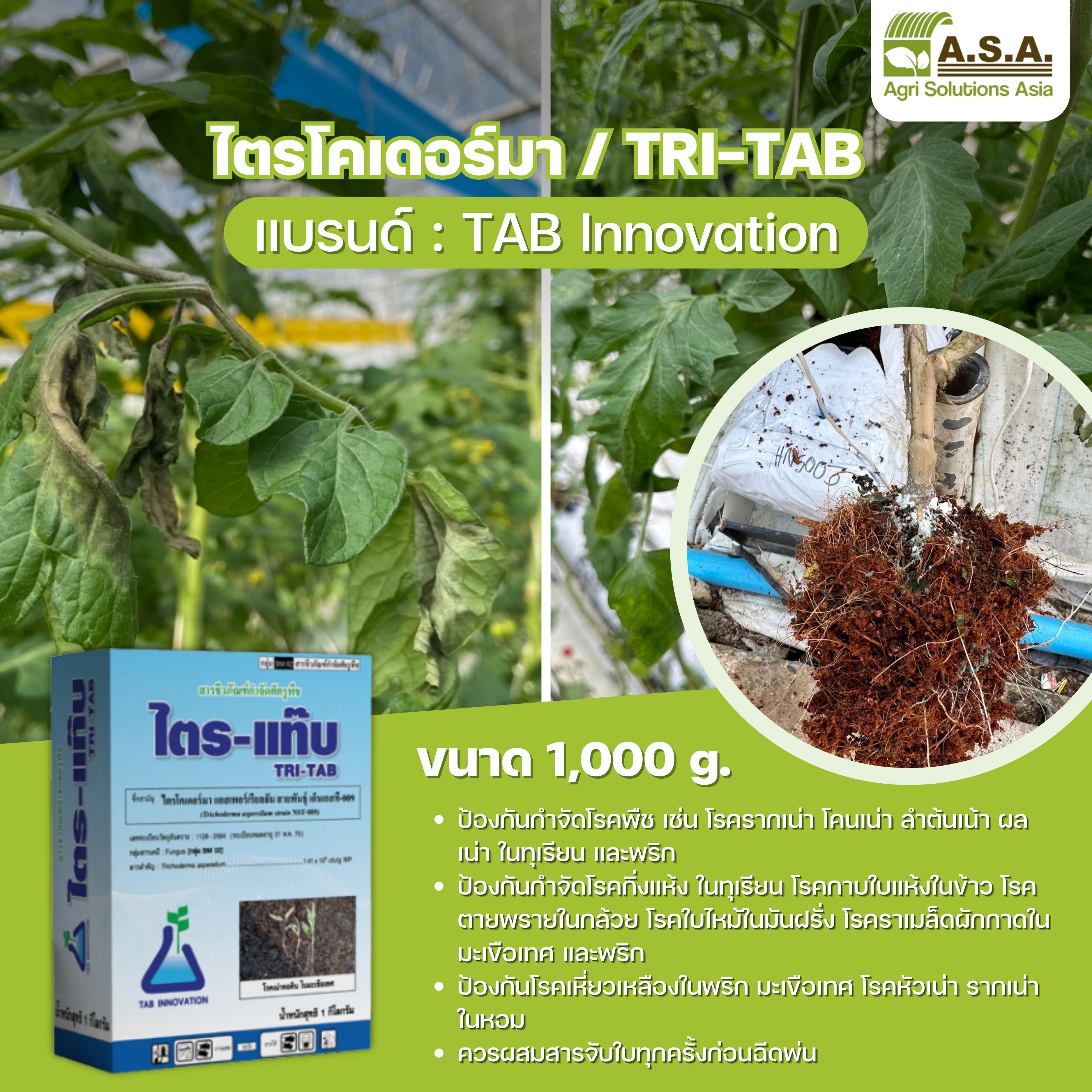 ไตรโคเดอร์มา / TRI-TAB 1000 g.