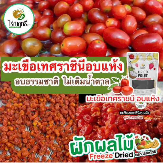 มะเขือเทศ ราชินี อบแห้ง หวานน้อย