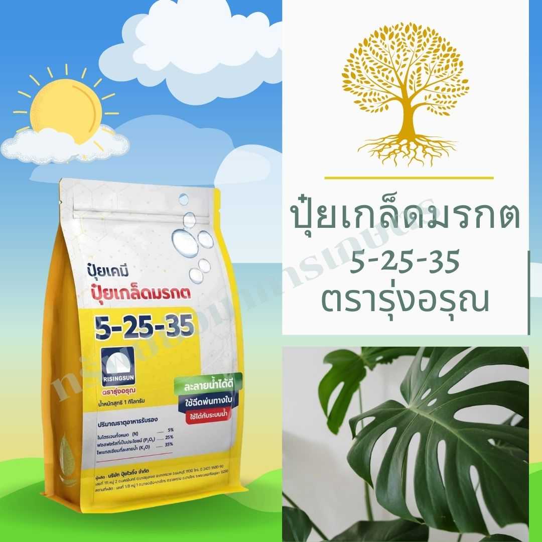ปุ๋ยเกล็ด มรกต 5-25-35 1กก. ช่วยสะสมอาหาร สร้างแป้งน้ำตาล ช่วยสร้างตาดอก ช่วยควบคุมใบอ่อนให้แตกช้าลง
