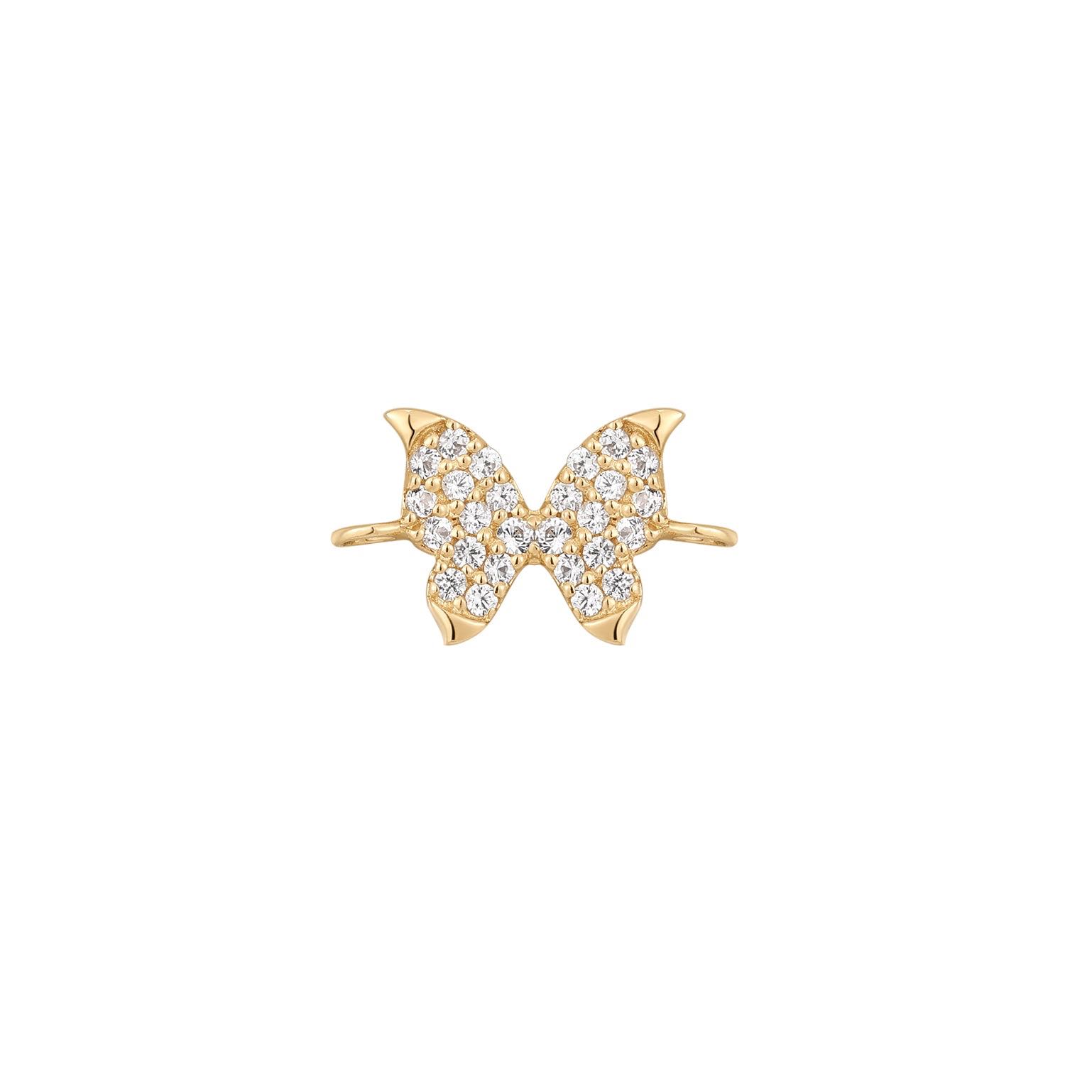 CHARM - Monarch