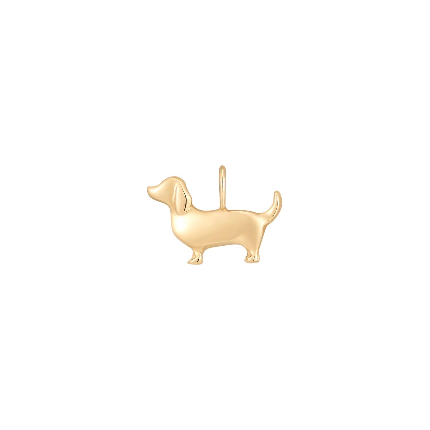 CHARM - Pups