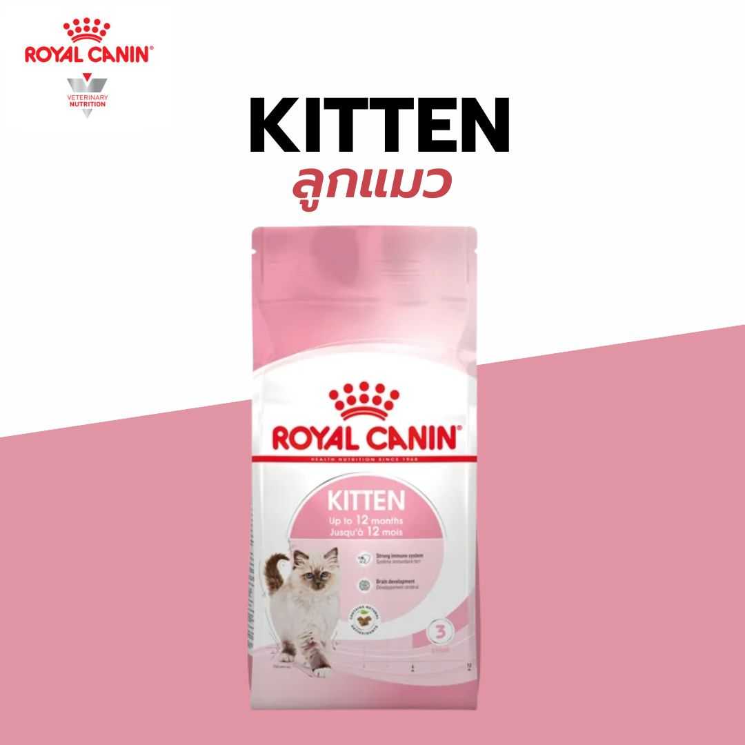 Royal canin อาหารลูกแมว KITTEN