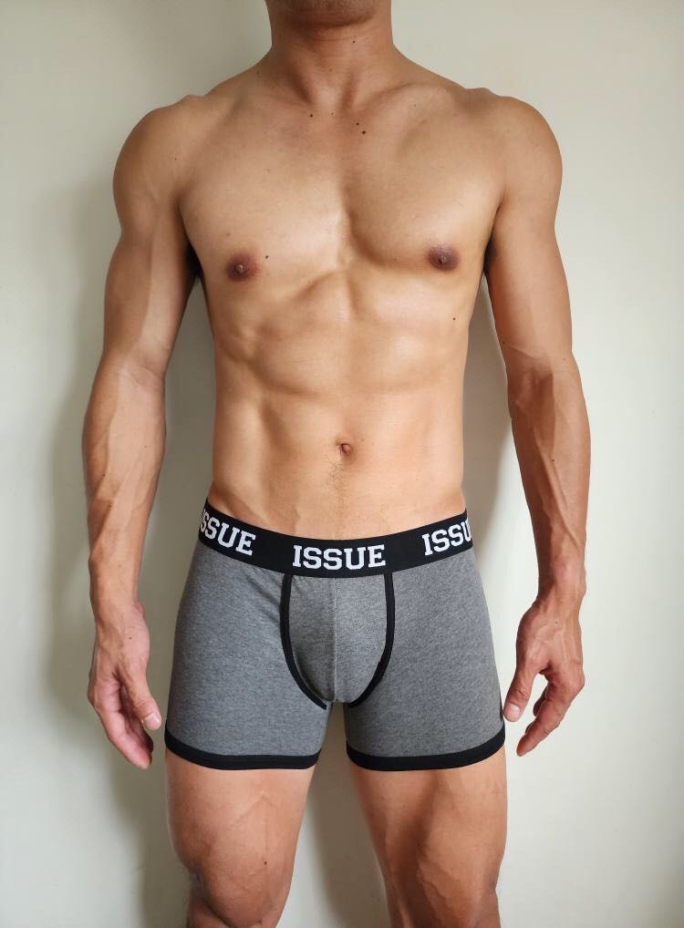 Trunk Basic GY