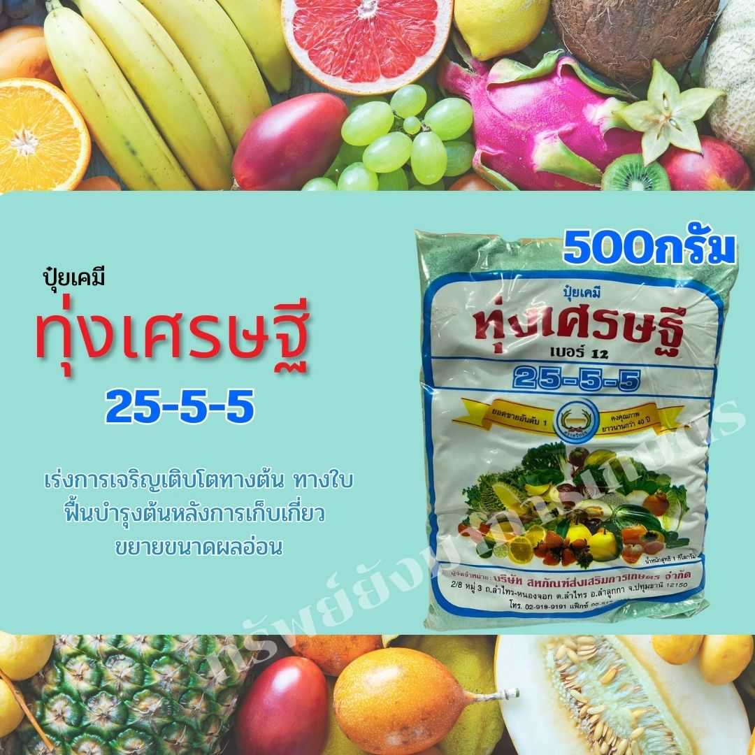ปุ๋ยเกล็ด ทุ่งเศรษฐี 25-5-5  500กรัม เร่งเติบโตทางต้นทางใบ บำรุงต้นหลังการเก็บเกี่ยว  ขยายผลอ่อน