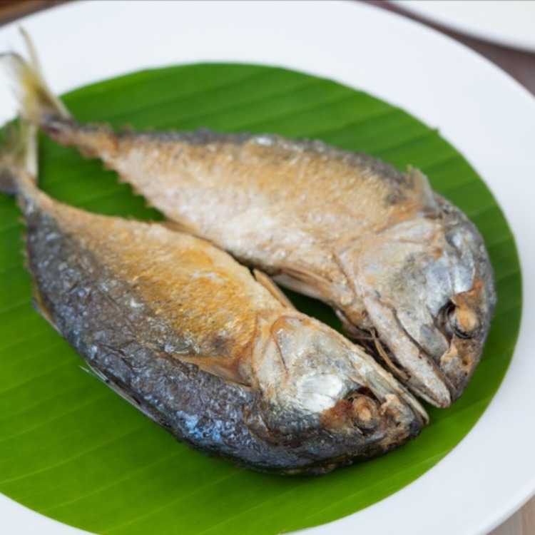 ปลาทูทอดในน้ำมันรำข้าว 1 ตัว  - Deep Fried Mackerel Fish