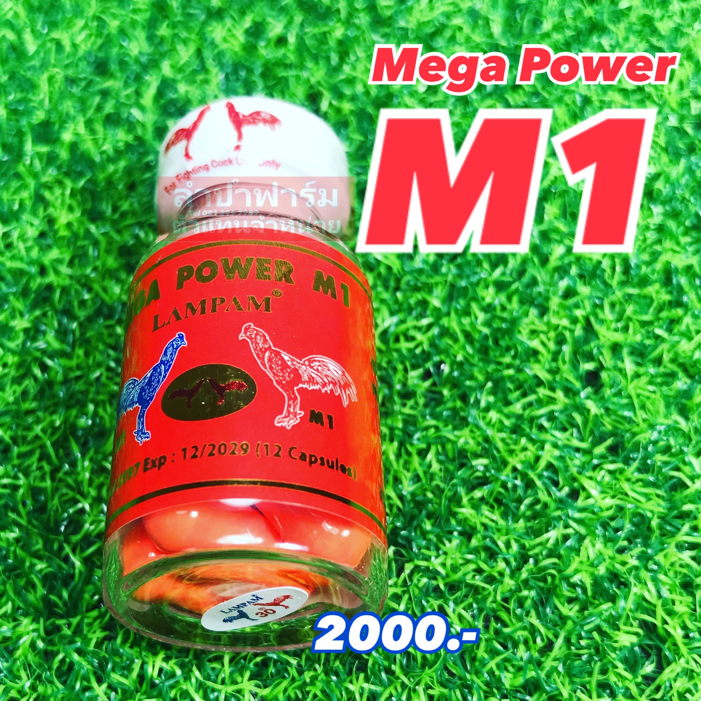 เมก้า M1 ตัวพิเศษ