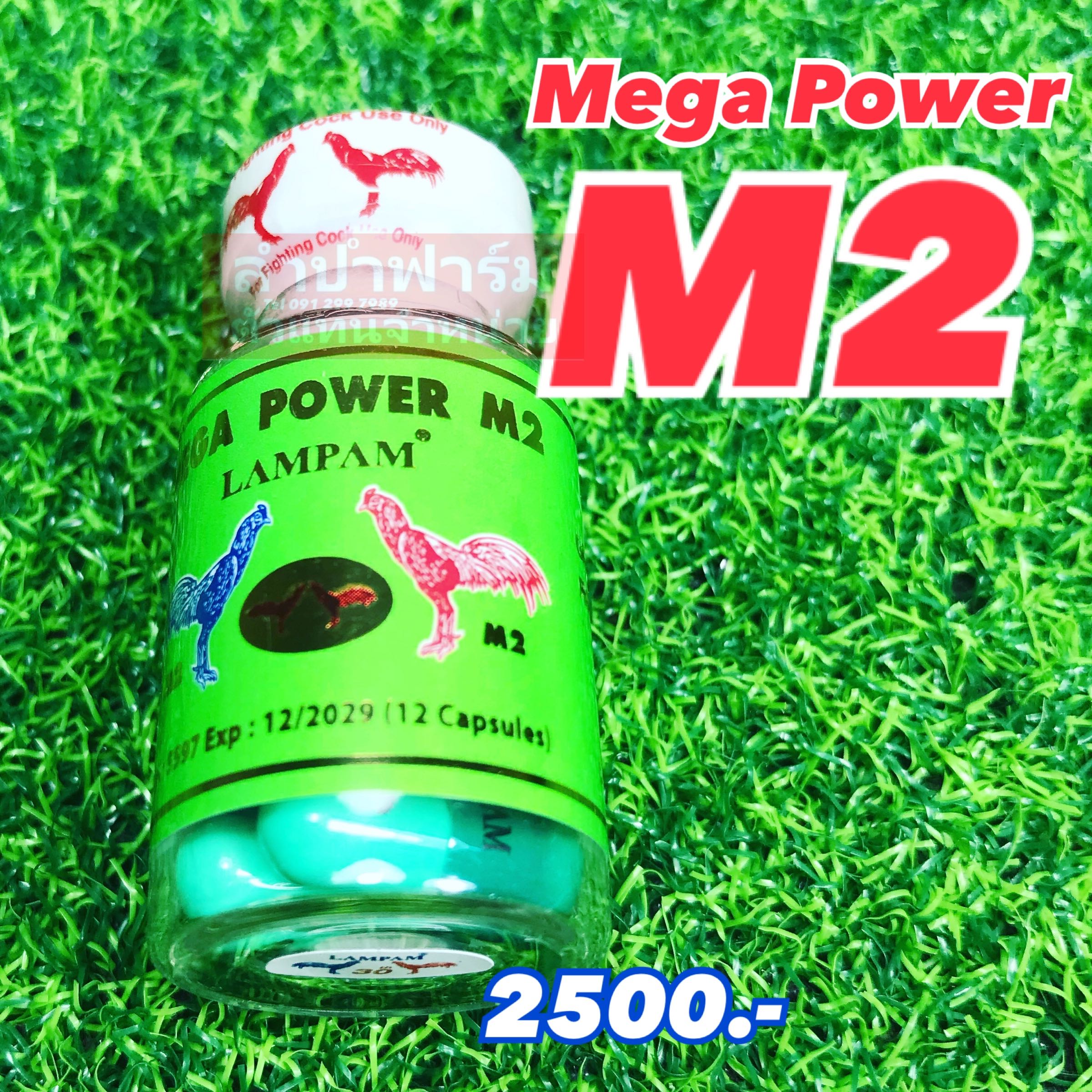 เมก้า M2 ตัวพิเศษ
