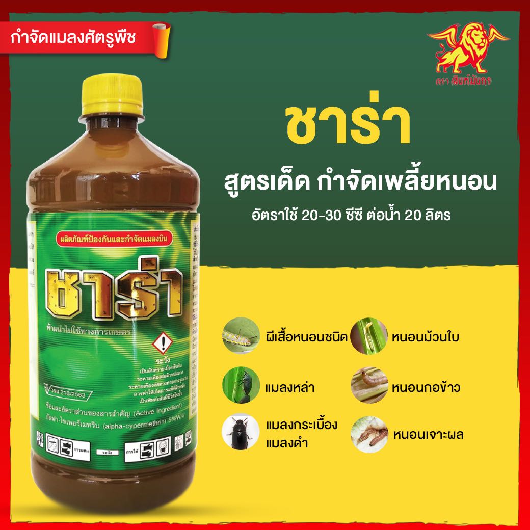 ชาร่า สิงห์มังกร