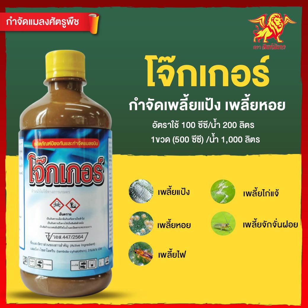 โจ๊กเกอร์ สิงห์มังกร