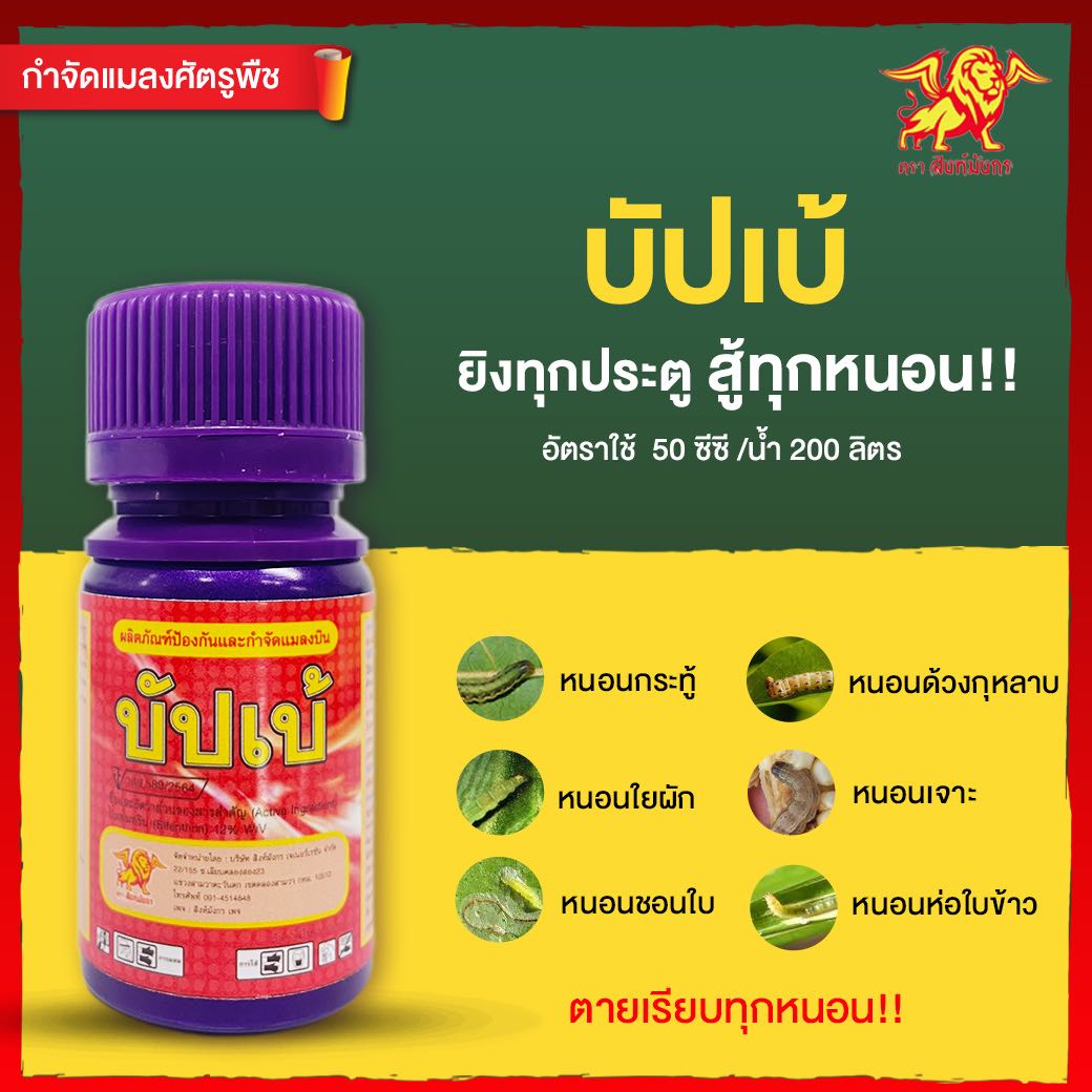 บัปเบ้ สิงห์มังกร