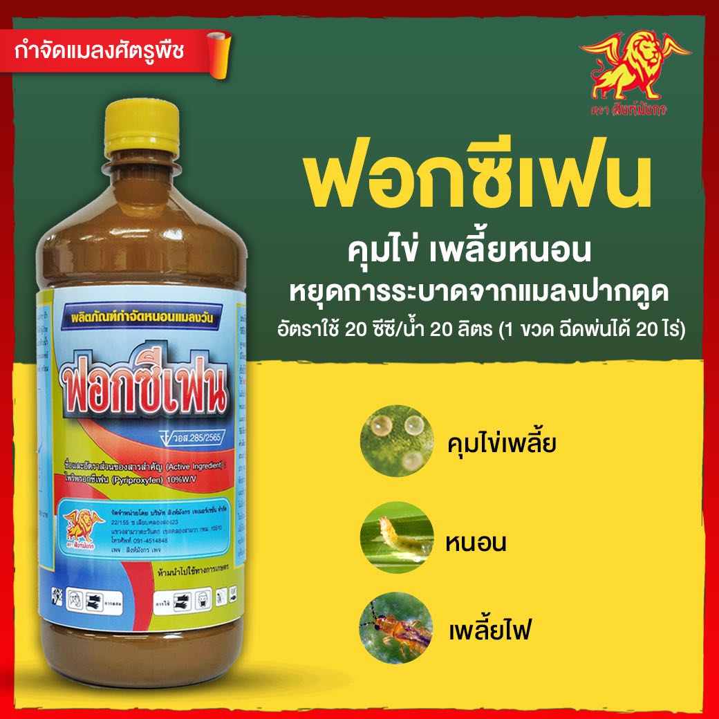 ฟอกซีเฟน สิงห์มังกร