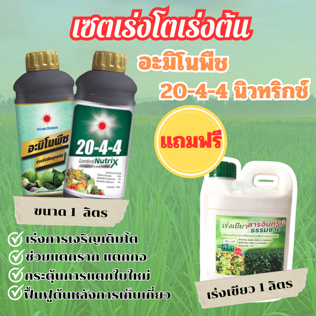 เซตเร่งโตเร่งต้น  อะมิโนพืช+20-4-4 นิวทริกซ์ แถมฟรี เร่งเขียว 1 ลิตร