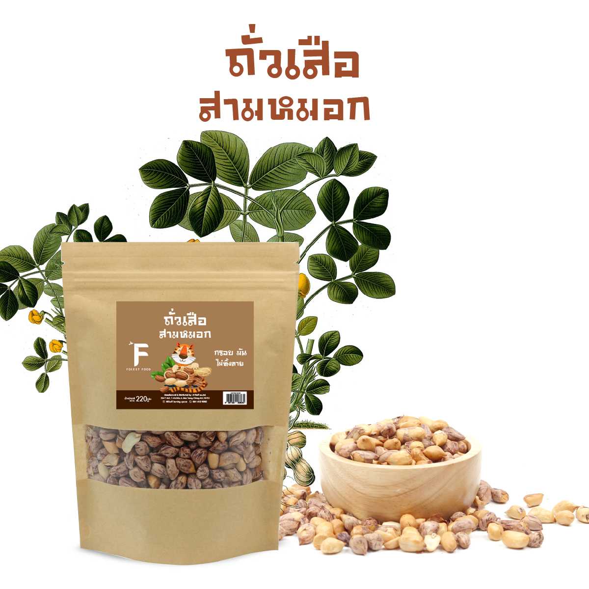 ถั่วเสือสามหมอก