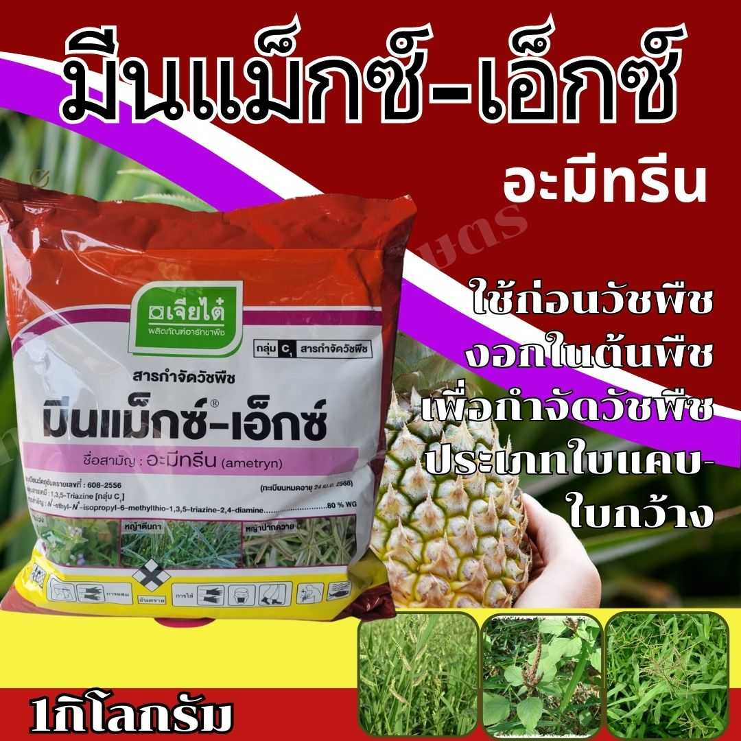 มีนแม็กซ์-เอ็กซ์ อะมีทรีน ชนิดเม็ด 1กิโลกรัม ตราเจียไต๋ ใช้ก่อนวัชพืชงอก กำจัดวัชพืชใบแคบ-ใบกว้าง