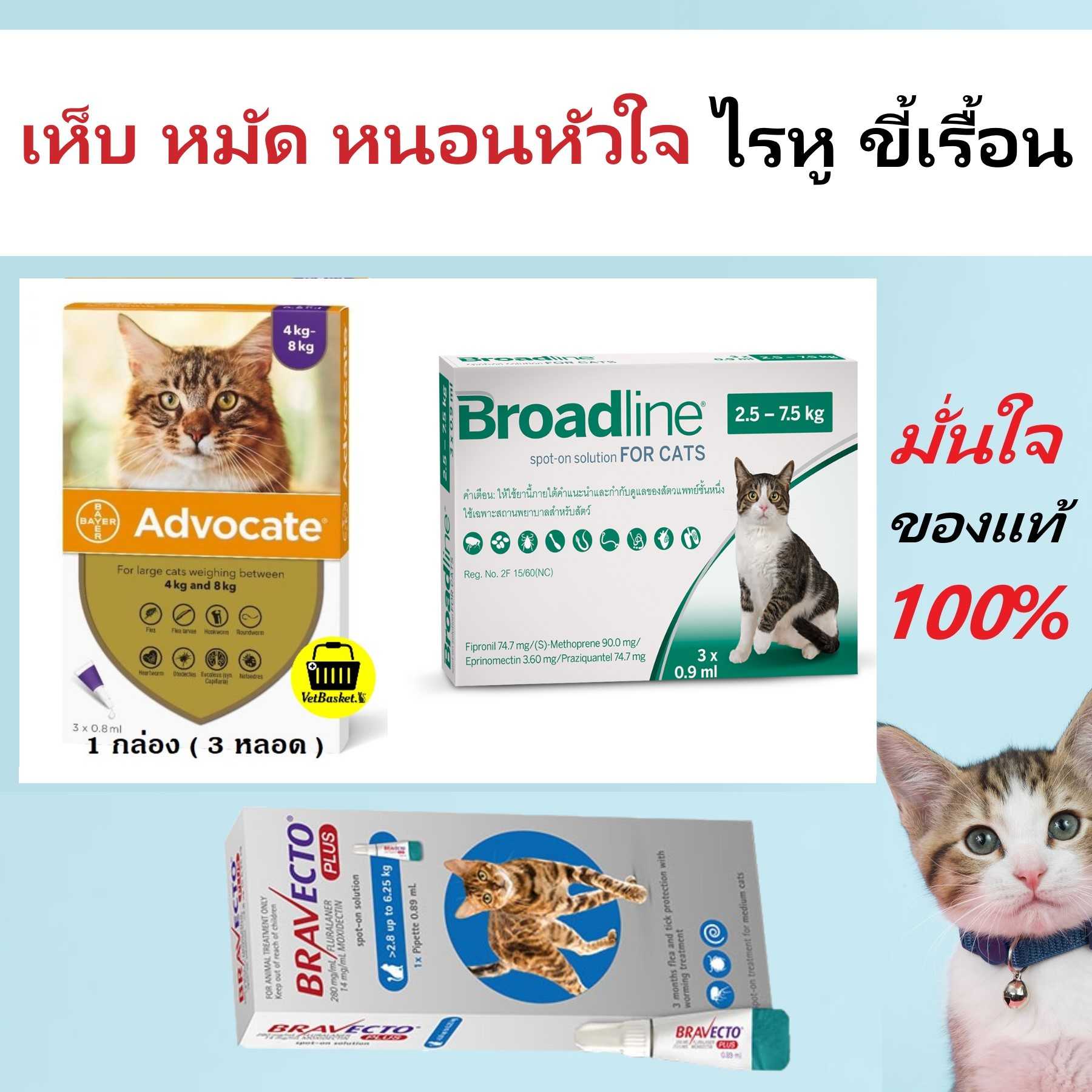 ผลิตภัณฑ์หยอดหลังแมว ป้องกันกำจัดเห็บ หมัด หนอนหัวใจ ไรหู ขี้เรื้อน